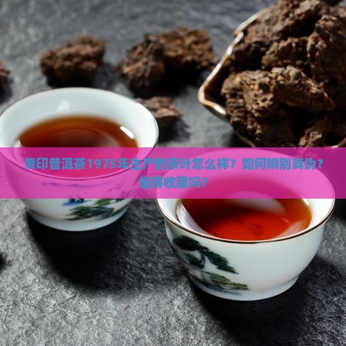 黄印普洱茶1975
