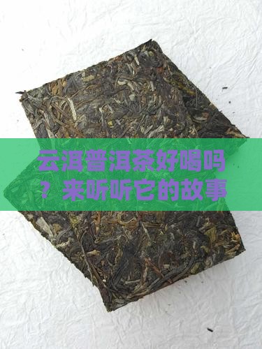 云洱普洱茶的相关资料及介绍