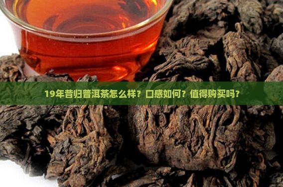 19年昔归普洱茶