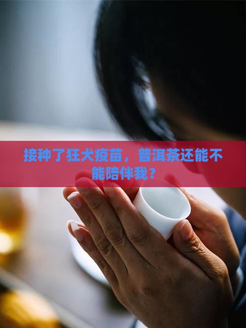 打过狂犬疫苗能喝普洱茶吗