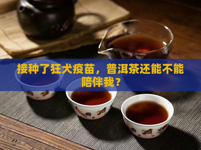 打过狂犬疫苗能喝普洱茶吗
