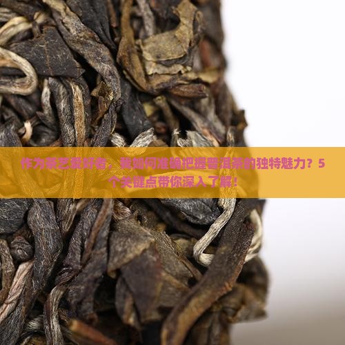 普洱茶的定义的认识