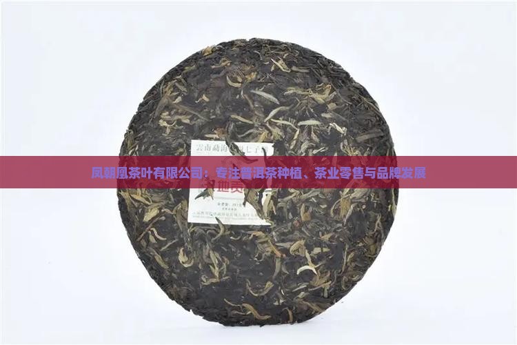 凤朝凰茶叶怎么样