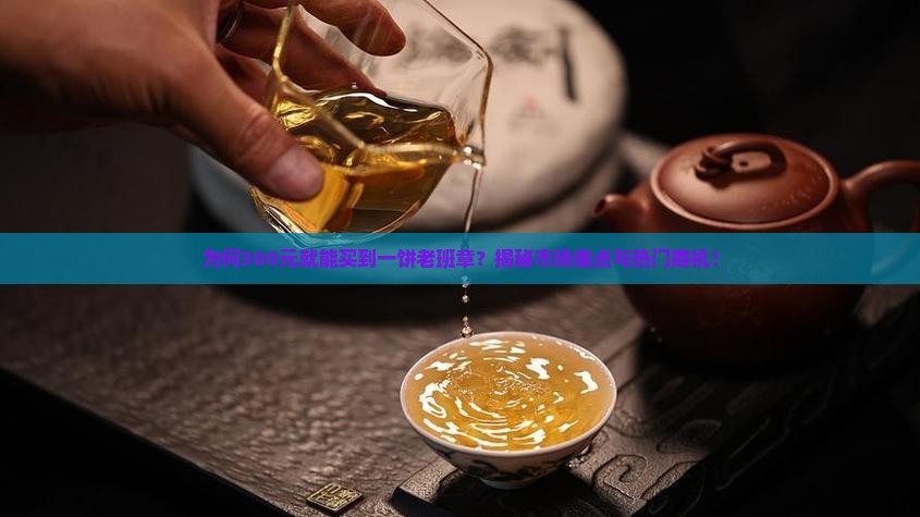 300元一饼老班章