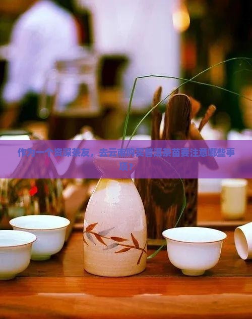 去云南购买普洱茶苗怎么样