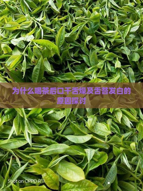 为什么喝茶后口干舌燥