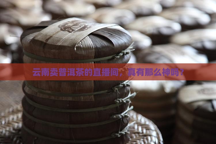 云南卖普洱茶直播间是真的吗