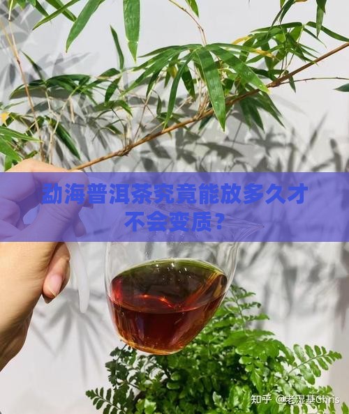勐海普洱茶能放多久不坏