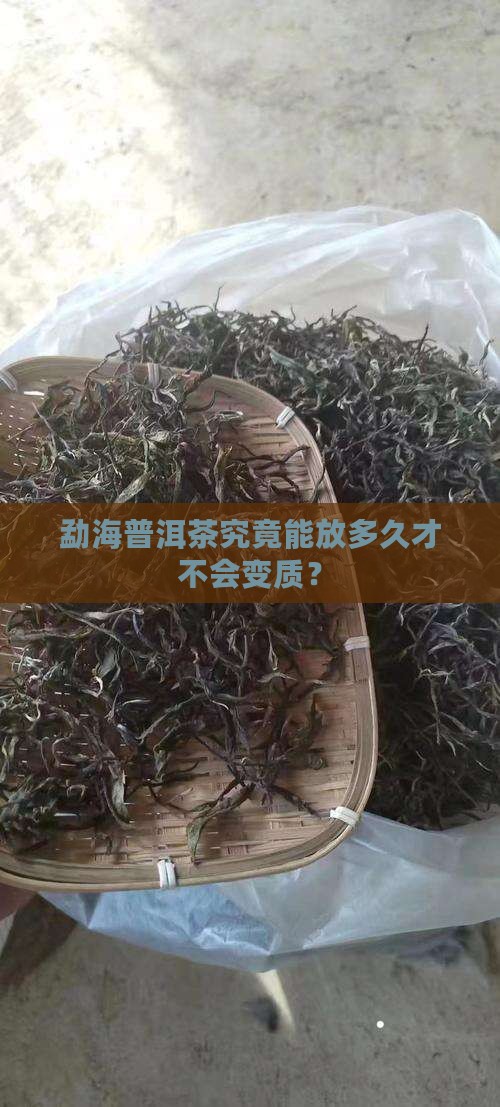 勐海普洱茶能放多久不坏