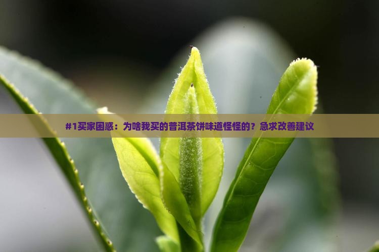 普洱茶饼品质差