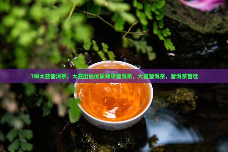1级大益生普洱茶