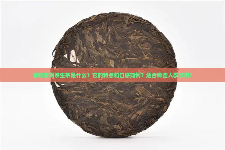 春晓普洱茶生茶