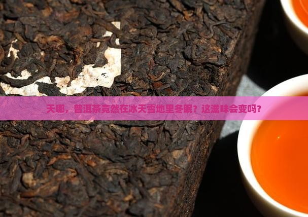 普洱茶存放温度零下