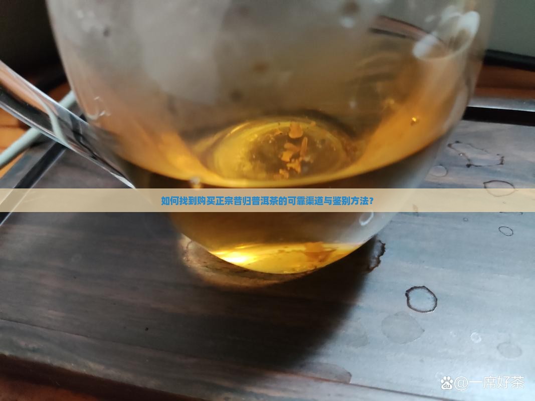 哪里能买到正宗昔归普洱茶 哪里能买到正宗昔归普洱茶