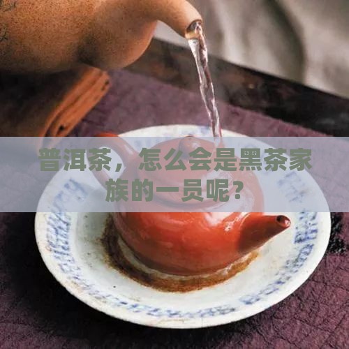普洱茶属于黑茶