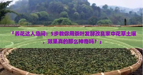 茶叶怎么发酵种花的土