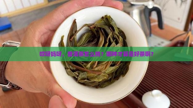 普洱茶怎么挑选哪种普洱茶要好
