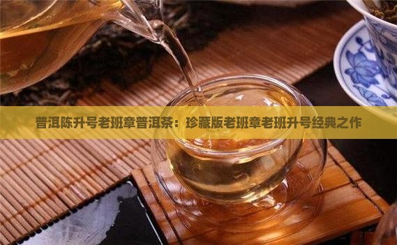 2013陈升号老班章老片