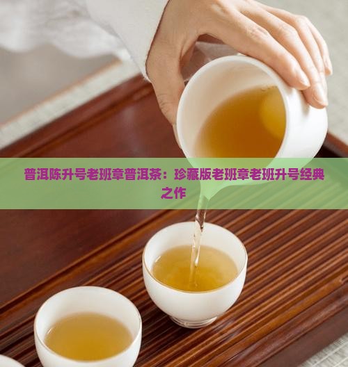 2013陈升号老班章老片