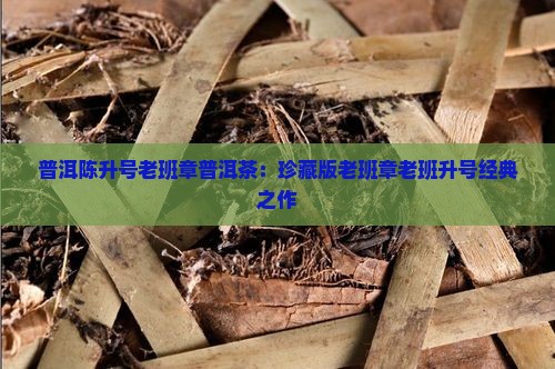 2013陈升号老班章老片