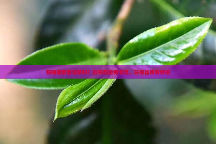 铁桶能放普洱茶吗
