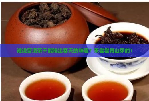 青山普洱茶品牌