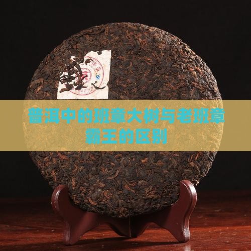 班章大树是老班章吗