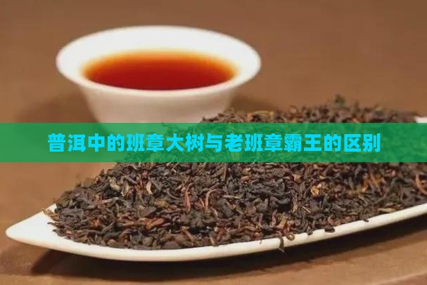 班章大树是老班章吗