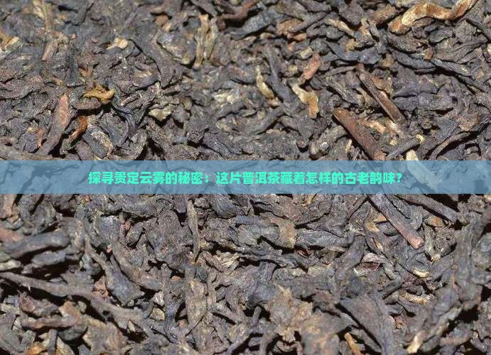 贵定云雾普洱茶