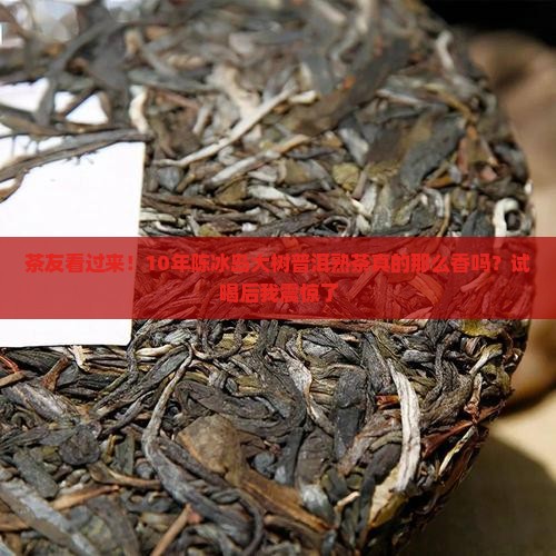 冰岛大树普洱熟茶