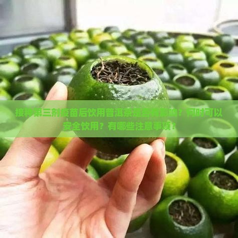 打了第三针可以喝普洱茶吗