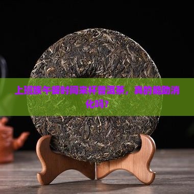 吃午饭时喝普洱茶好吗