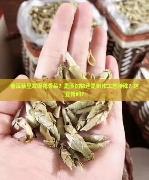 普洱茶里有花骨朵