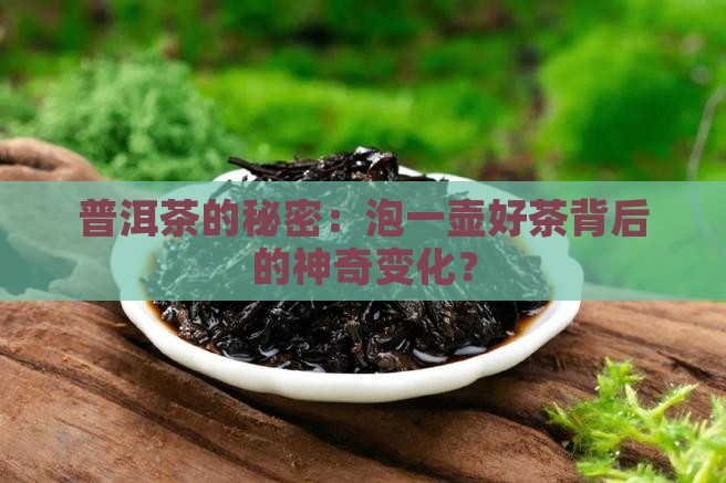 普洱茶冲泡化学反应方程式