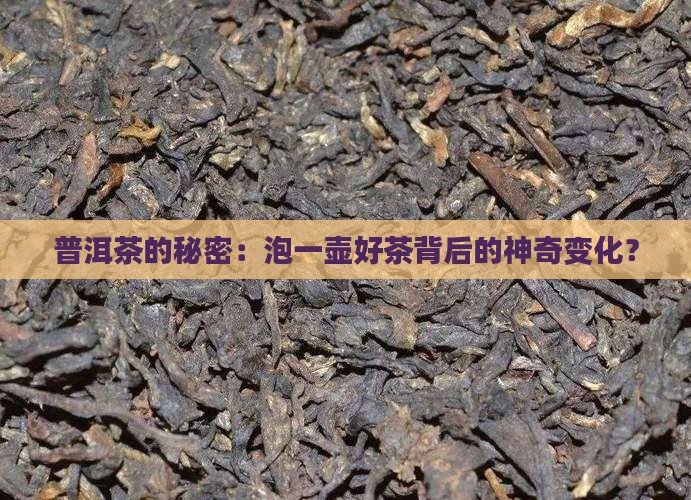 普洱茶冲泡化学反应方程式