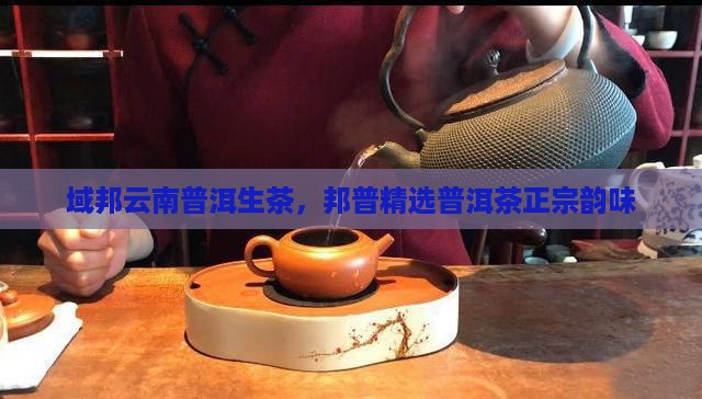 域邦云南普洱茶生茶