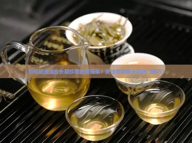 想要长期保存普洱茶怎么选