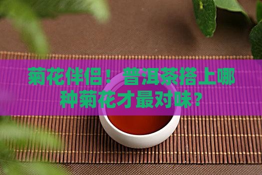 普洱茶搭配什么菊花