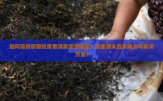 怎么拿到普洱茶货源呢