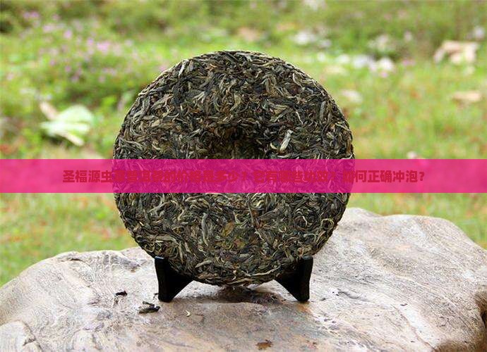 圣福源虫草普洱茶价格