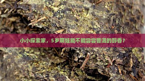 5岁小朋友能喝普洱茶吗