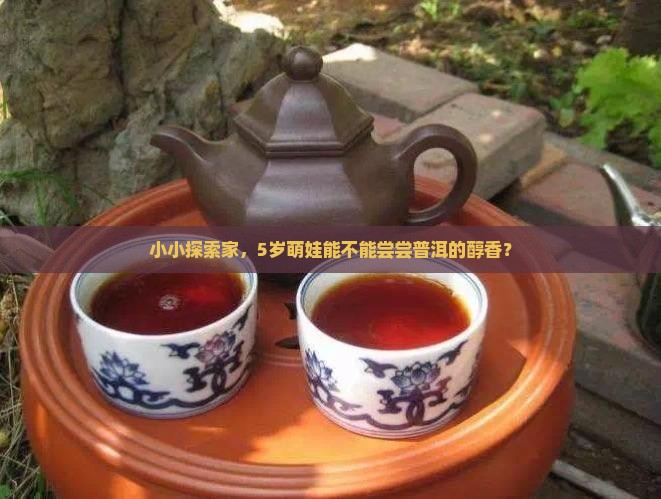 5岁小朋友能喝普洱茶吗