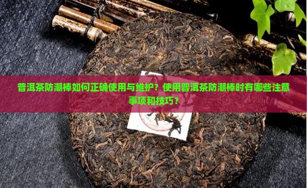 普洱茶防潮棒怎么用
