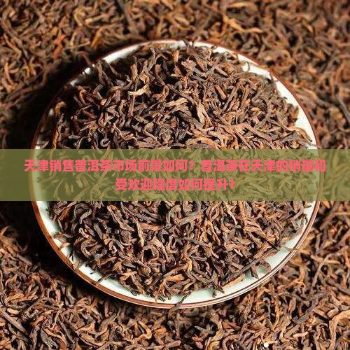 天津卖普洱茶怎么样
