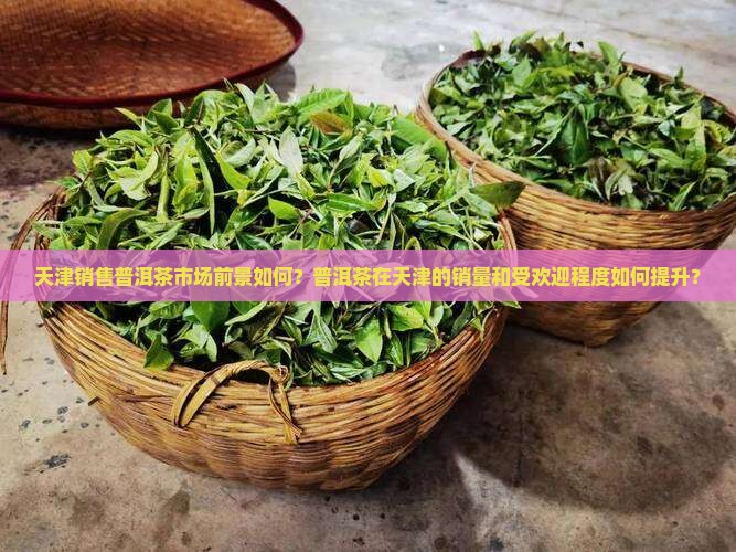 天津卖普洱茶怎么样