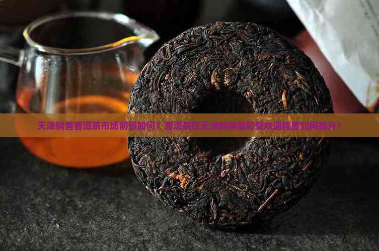 天津卖普洱茶怎么样