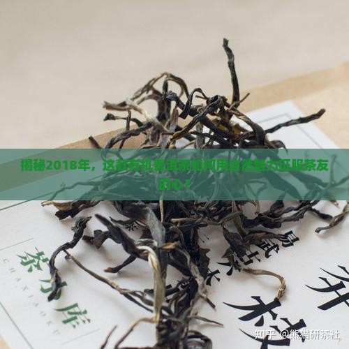 中茶18年有机普洱茶
