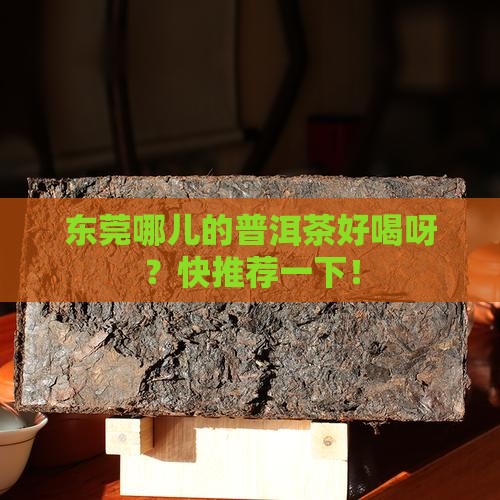 东莞普洱茶哪家好喝点的