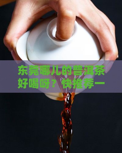 东莞普洱茶哪家好喝点的