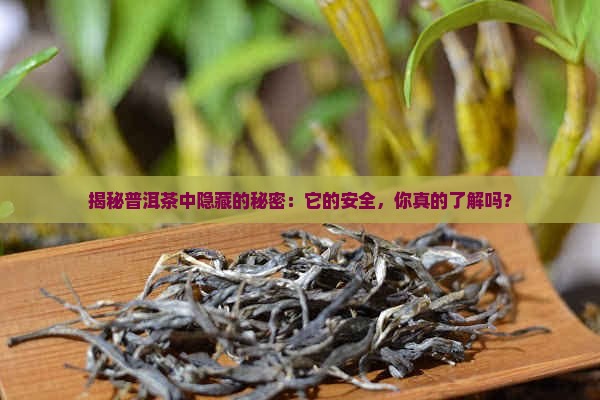 普洱茶有害物质检测